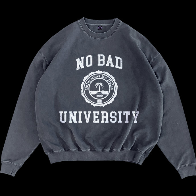 UNIVERSITY SWEATSHIRT